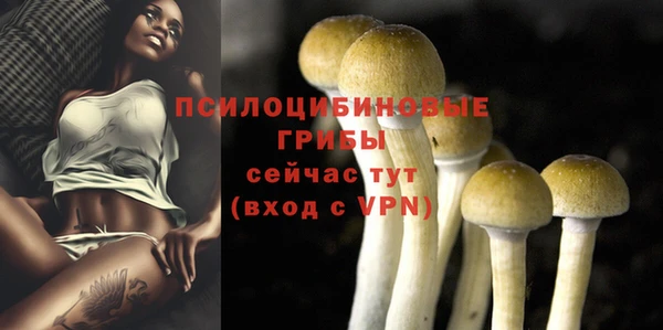 гидропоника Семилуки
