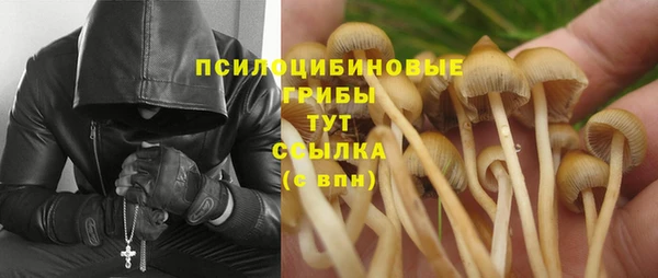 тгк Семикаракорск