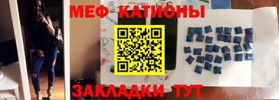 сатива Кингисепп