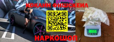 сатива Кингисепп