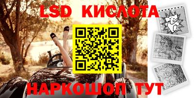 сатива Кингисепп