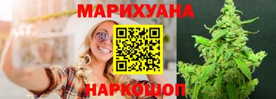 сатива Кингисепп