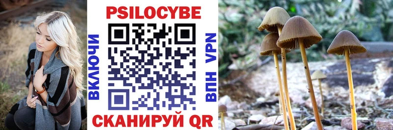 Псилоцибиновые грибы мицелий  Среднеуральск 